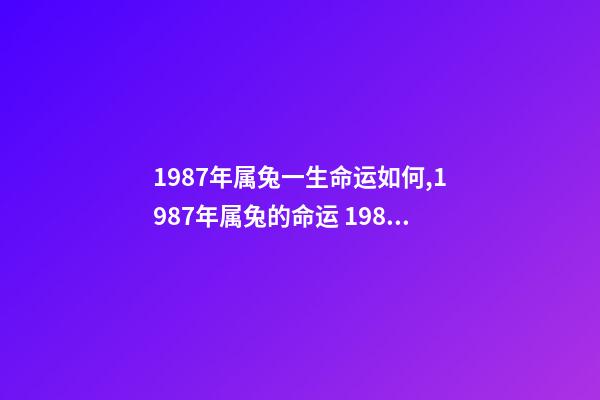 1987年属兔一生命运如何,1987年属兔的命运 1987年属兔是什么命-第1张-观点-玄机派